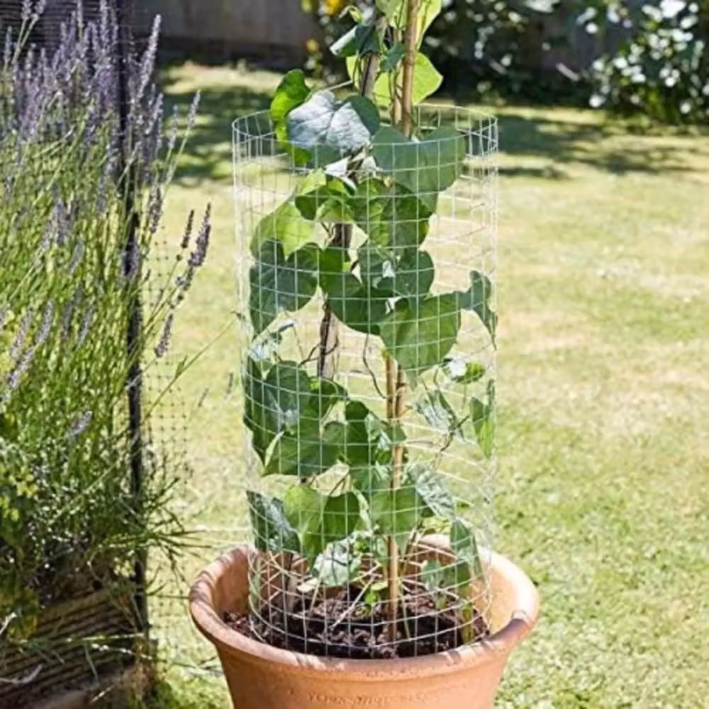 Marco Paul Silver Galvanised Steel Weld Mesh Trellis Panel W: 90 cm, H: 60 cm – 2