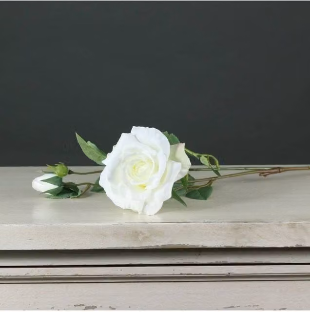 KDMD Tintagel Spray Rose in White, 3 Pack – 1