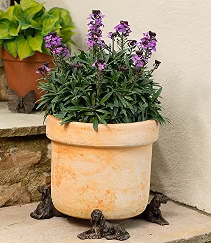 Jardinopia Irish Setter Plant Pot Feet, Bronze, Set of 3, H 12.5 x W 5.5 x D 5 cm – 3