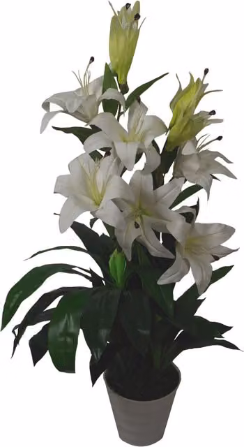 Leaf Large Artificial Stargazer Style Lily Plant in White and Green, Height: 90 cm – 4