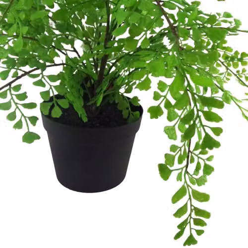 Leaf Artificial Potted Fern Plant in Green and Black, Height: 45 cm, Width: 35 cm – 4