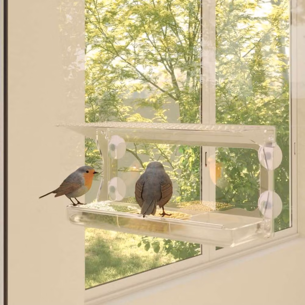 Berkfield Home Acrylic Window Bird Feeders, 2 Pack, Clear, W: 30 cm, D: 12 cm, H: 15 cm – 2