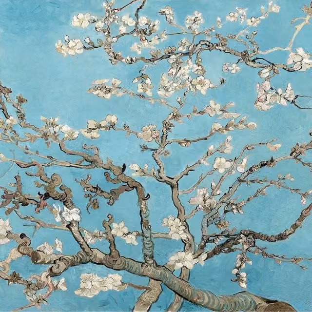 Almond Blossom Blue Floral Spring Wall Mural, Width: 260 cm