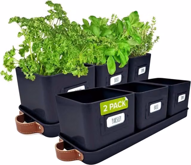 Green Thumbz Set of 3 Steel Window Herb Pot Planters for Indoor and Outdoor Use, Black