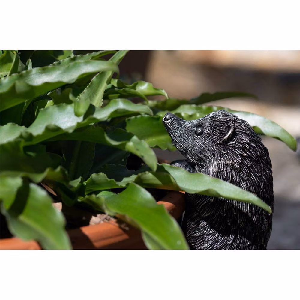 Jardinopia Hedgehog Plant Pot Hanger, Bronze, L11 x W6 x H6 cm – 4