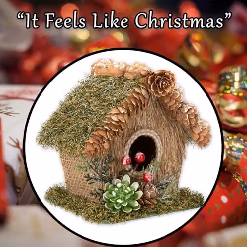 VFM e-Store Christmas Bird House Tabletop Decoration, Green, W: 15 cm, D: 16 cm – 6