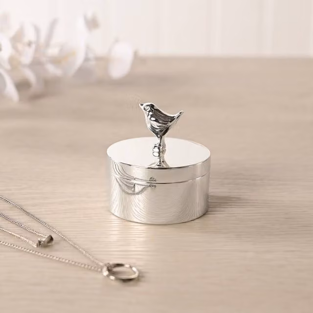 Sophia Silverplated Robin Round Metal Trinket Box in Silver