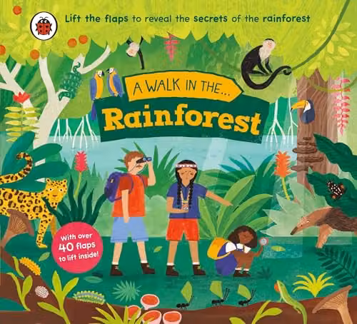 Ladybird A Walk in the Rainforest Lift-the-Flap Board Book, Multicolour