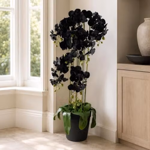 Leaf Design UK Realistic Artificial Black Orchid Plant with 41 Real Touch Flowers in Green Pot, Height: 110 cm – 5