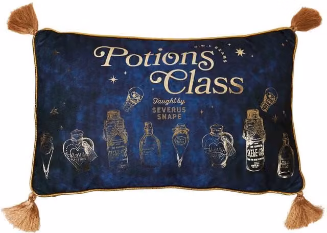 Warner Bros Harry Potter Alumni Velvet Cushion in Blue – 1