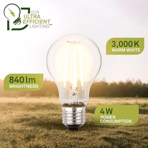 Briloner Set of 2 EEK Filament LED E27 A60 Bulbs, Warm White, 4W, 840lm, Transparent – 2