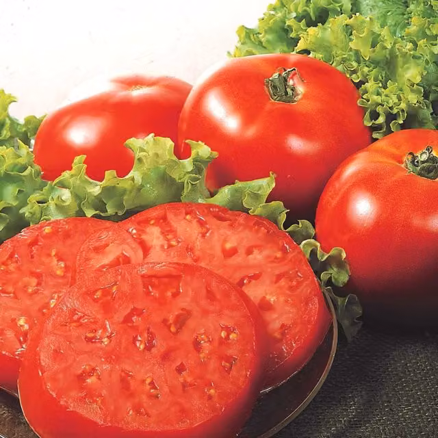 Marshalls Garden Red Tomato Vegetable Seeds, 4-Pack