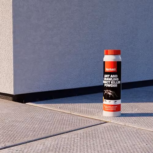 Rentokil Ant and Crawling Insect Killer Powder, 300g – 3