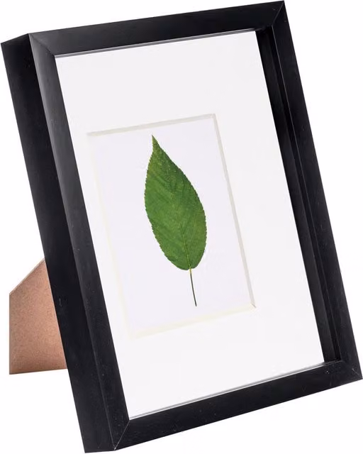 Nicola Spring Black Rectangular 3D Box Photo Frame for 8 x 10 inch Photos with 4 x 6 inch Mount