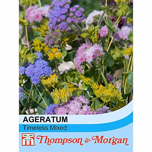 Thompson and Morgan Ageratum Timeless Mixed Floss Flower Seeds, 100 Seeds, Purple and Yellow – 2