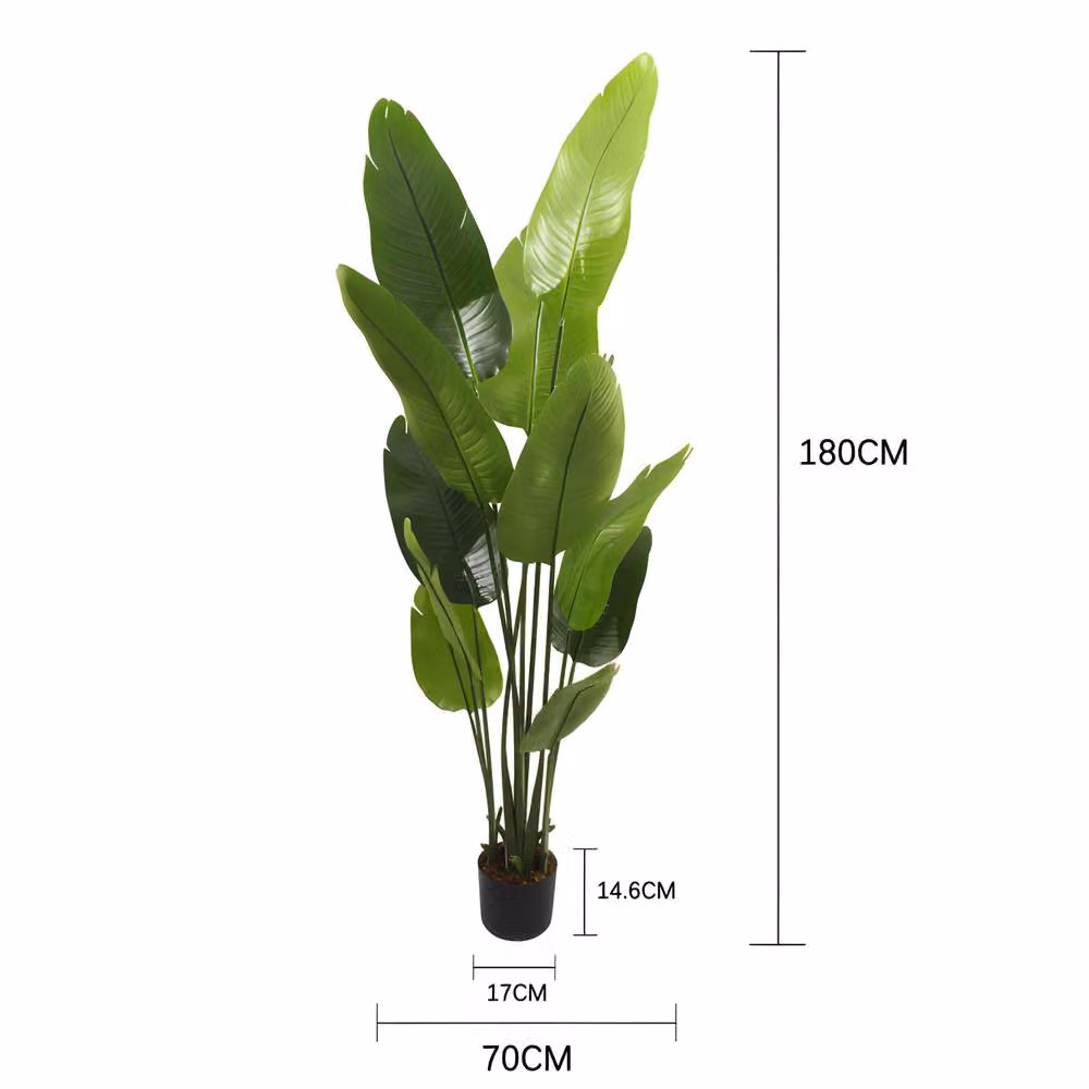 CASSILANDO Lifelike Artificial Bird of Paradise Green Plant, Height: 182.88 cm – 5