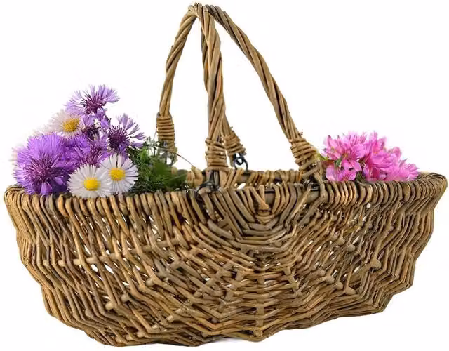 VOGREX Natural Willow Garden Trug Harvest Basket with Folding Handles in Brown