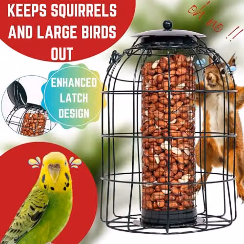 Samuel ALEXANDER Pack of 5 Black Metal Wild Bird Hanging Nut Feeders with Squirrel Guard – 8