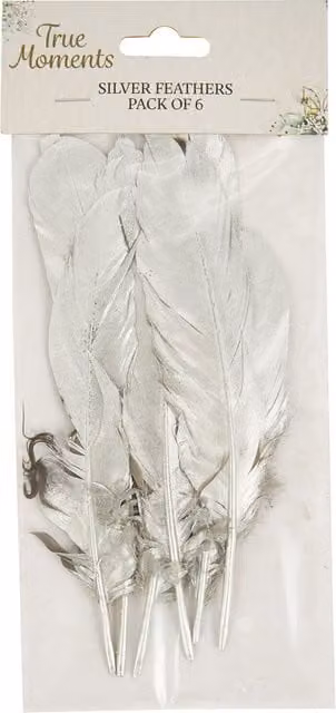 True Moments Pack of 6 Gold and Silver Feathers