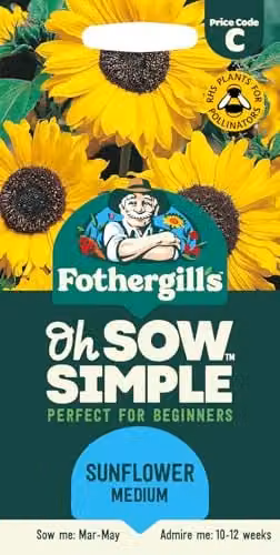 Mr Fothergill's Oh Sow Simple Sunflower Medium Flower Seeds, Yellow