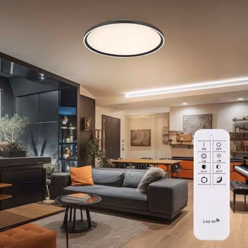Netlighting Dublin Semi Ceiling Light Grey, Dimmable LED with Remote Control, Diameter: 50 cm – 2