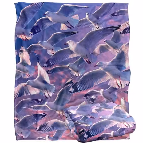 JQ Licensing Royce Mcclure Evening Seagulls Super Soft Fleece Throw Blanket, White, W/D/H: 152 x 127 cm – 1