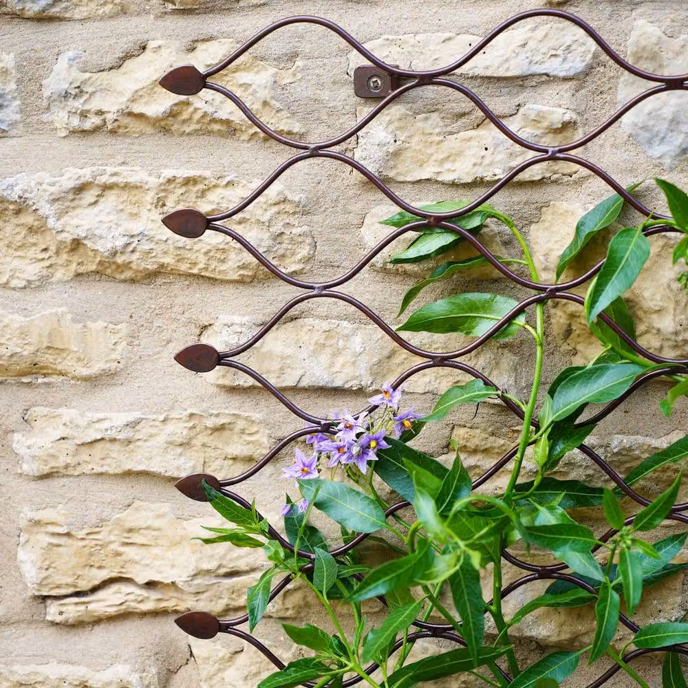 Lemon Pavilion Bronze Geometric Honeycomb Steel Outdoor Trellis, W: 78 cm, H: 110 cm – 3