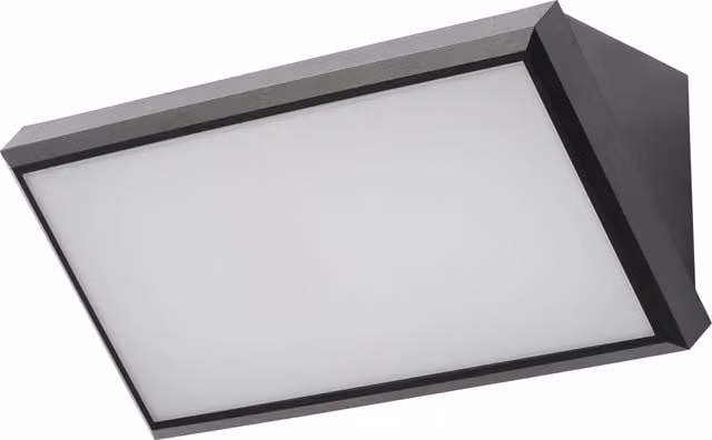 Litecraft Belford Modern LED Outdoor Wall Light in Black with Glass Shade