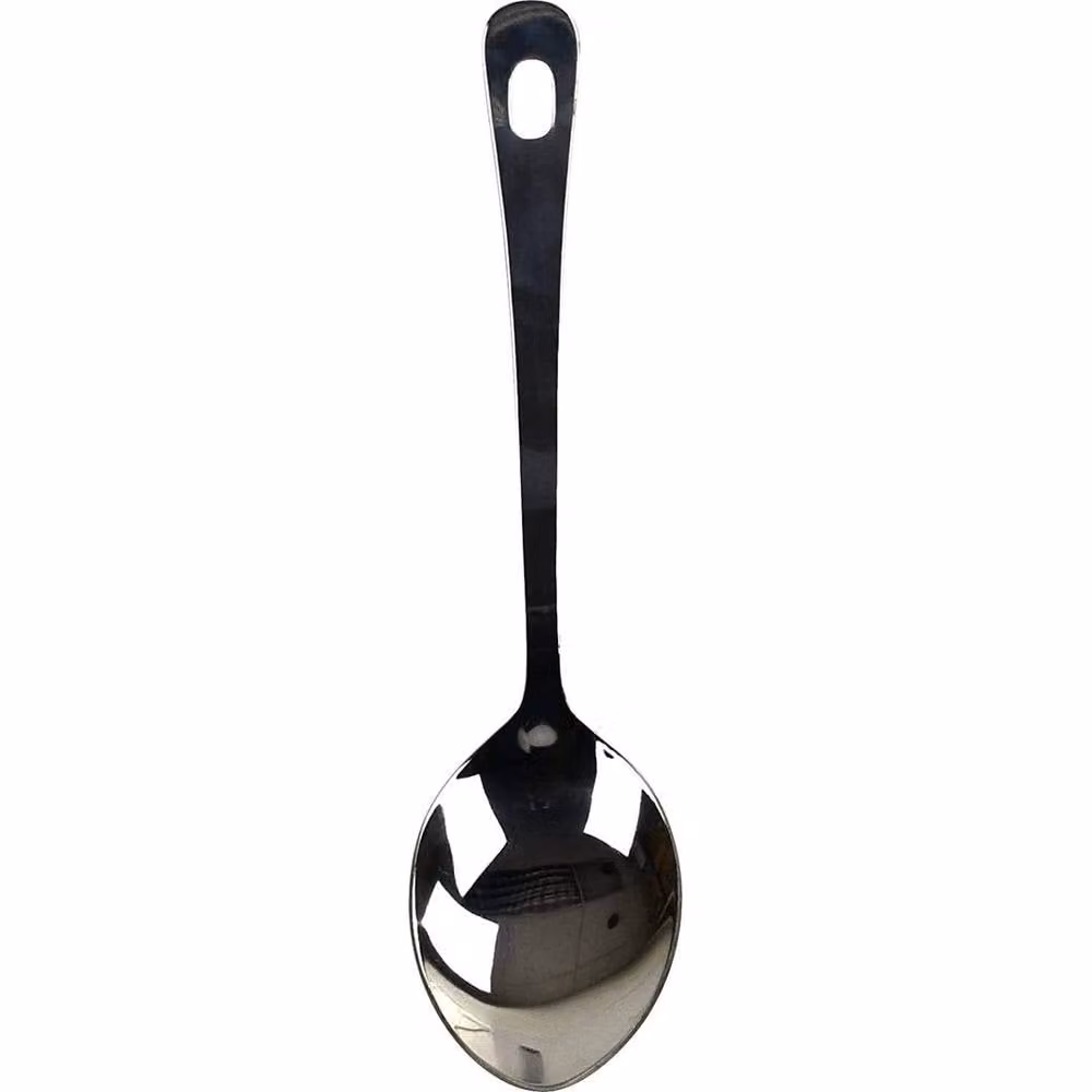 FLAVORA Set of 5 Large Polished Stainless Steel Spoons in Silver – 2