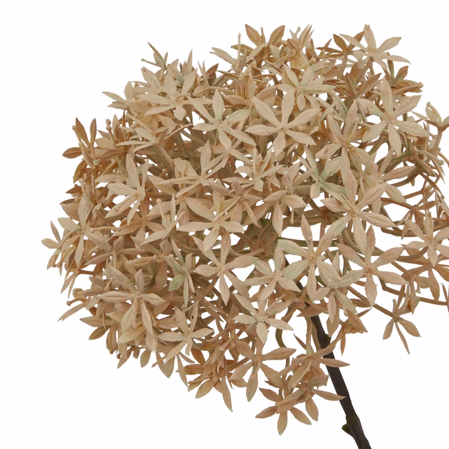 Love Lace Allium Artificial Flower in Sand and Beige – 2