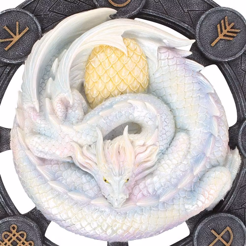 Anne Stokes Ostara Resin Dragon Wall Plaque in White – 3