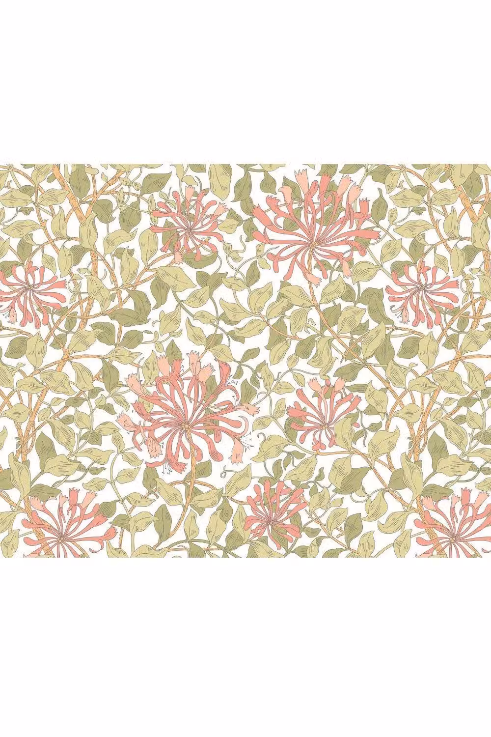 Origin Murals Honeysuckle Floral Art Nouveau Wall Mural in Coral, W: 300 cm, H: 240 cm – 2