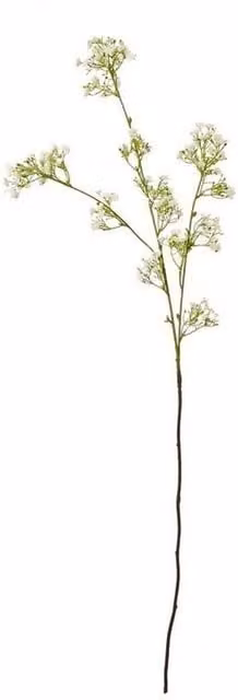 Lemon Pavilion Gypsophila Floral Spray in Cream and Beige, Height: 106 cm – 1