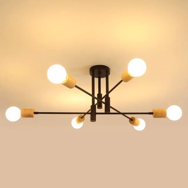 Pheashine Natural Aesthetic Radial Ceiling Lamp in Black with E27 Holder – 1