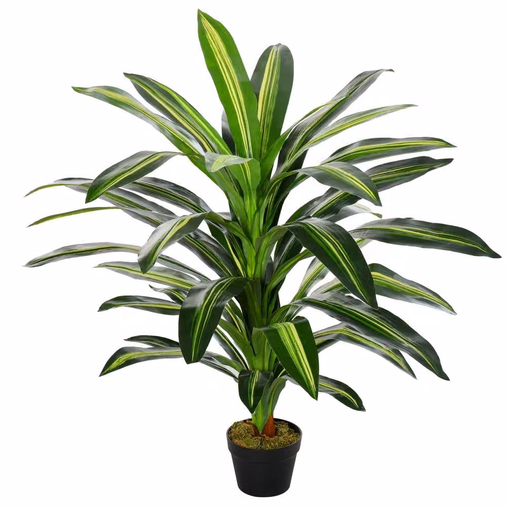 Wyld Haus Pala Artificial Dracaena Plant in Green Decorative Pot, Height: 110 cm – 2