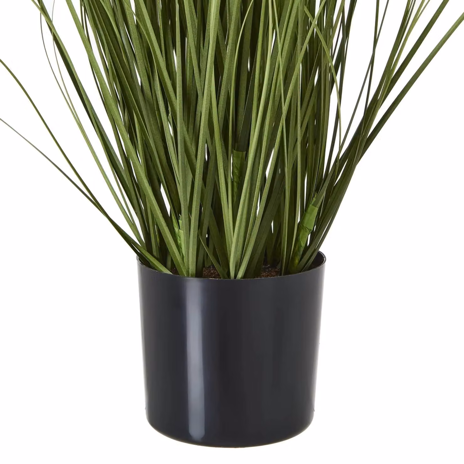 Hill Interiors Agapanthus Plant Pot in Green – 2