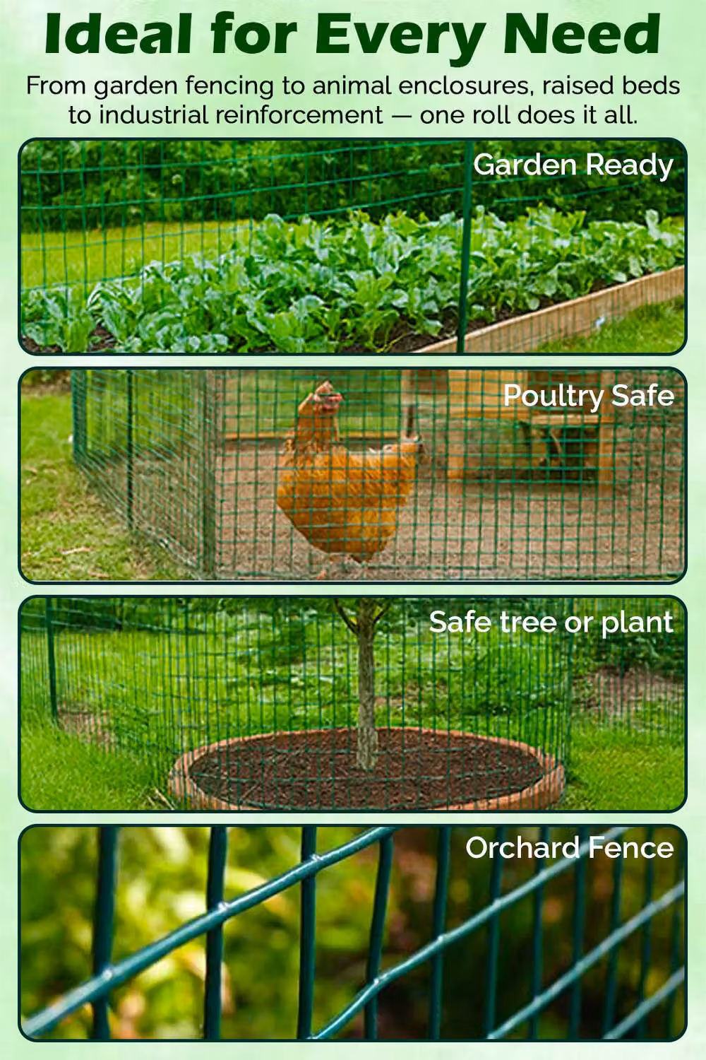 Hygrad PVC Coated Welded Mesh Fence Wire Netting in Green, 1 inch Square, W/H: 120 x 90 cm – 3