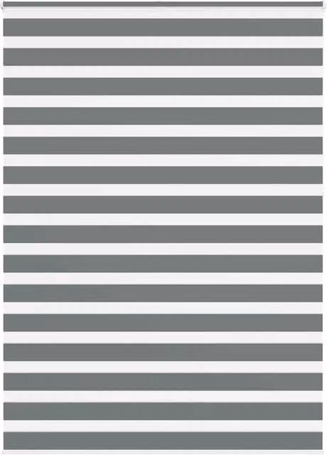 Berkfield Home Zebra Blind in Dark Grey, Polyester Fabric, W: 160 cm, H: 230 cm – 1