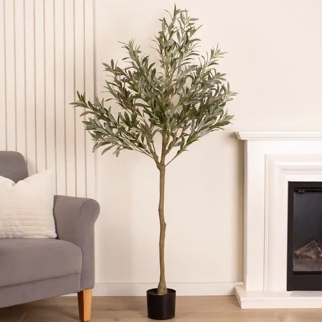 Scottish Everlastings Ltd 165 cm Green Mediterranean Olive Tree – 1