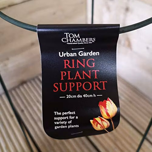 Tom Chambers Green Metal Herbaceous Garden Plant Support Ring, W/D/H: 40 x 20 x 20 cm – 2