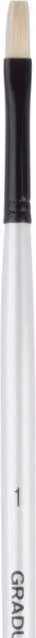 Daler-Rowney Graduate Bristle Flat Brush with Long Handle in Silver