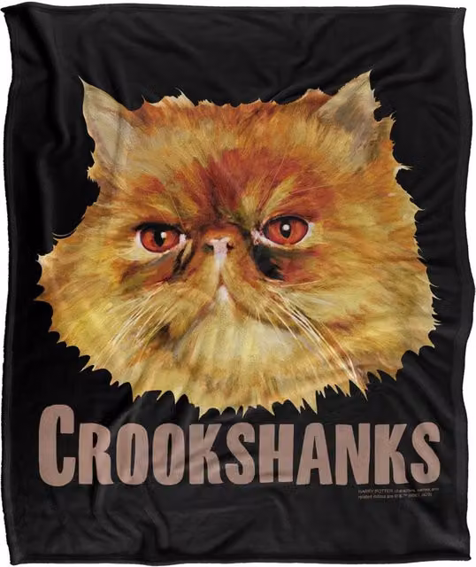 LOGOVISION Harry Potter Crookshanks Super Soft Fleece Throw Blanket, Multicolour, W: 91.44 cm x L: 147 cm – 6