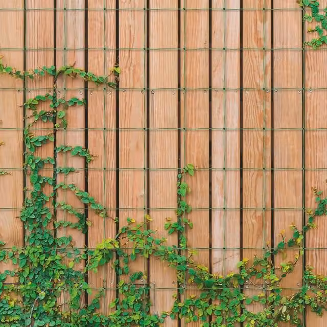mysmartbuy Green Polypropylene Trellis Mesh Netting for Climbing Plants and Vegetables – 2