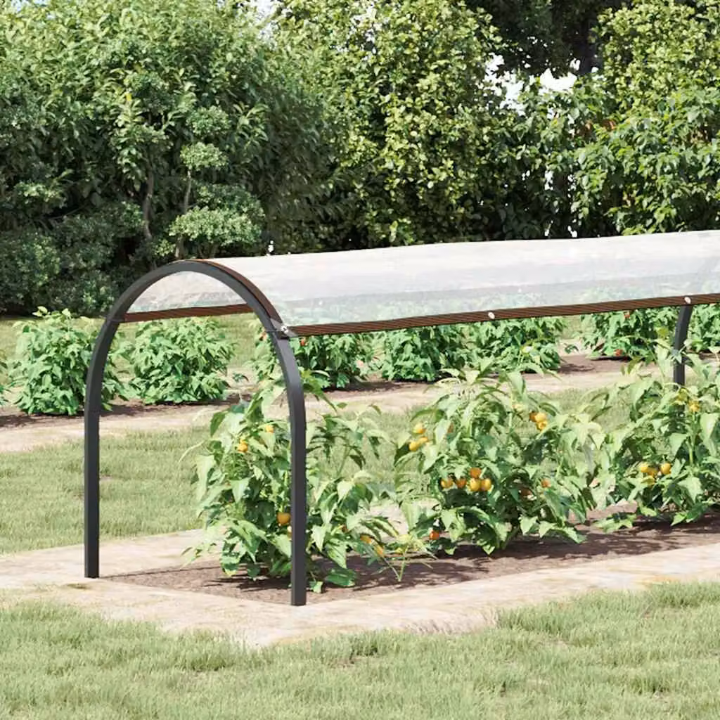 Berkfield Home Transparent Polyethylene Plant Cover with Eyelets, W: 1 m, L: 8 m – 2