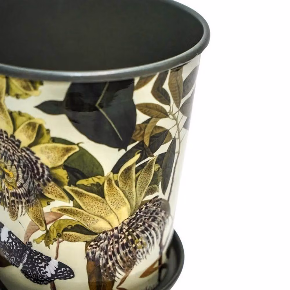 Lemon Pavilion Furniture and Decor Kew Botanical Retreat Planter with Saucer, Green, W: 14 cm, D: 14 cm, H: 16 cm – 3