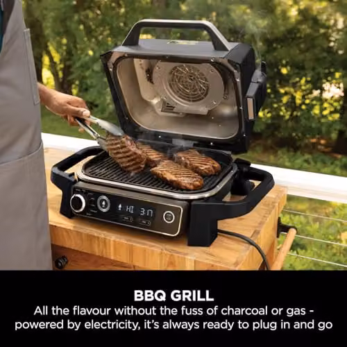 Ninja Woodfire Electric BBQ Grill and Smoker, Tabletop Hot Air Model, Grey and Black – 4