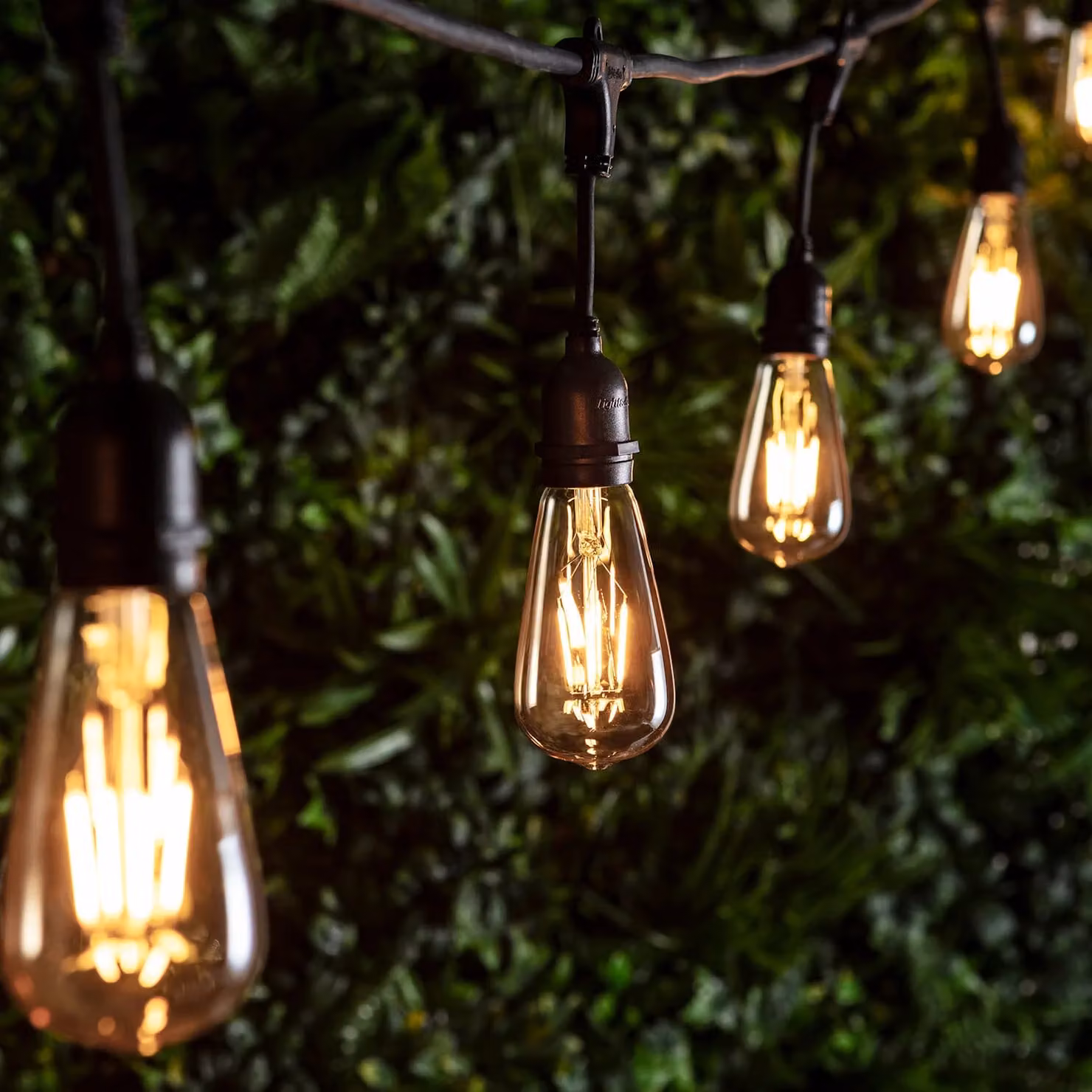 Ingenious Connect 10 Squirrel Cage LED Festoon Light Bundle with Amber Transparent Glass Bulbs and Warm White Light
