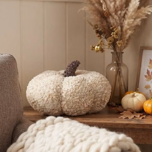 Garden Greatness Neutral Textured Pumpkin Cushion in Cream