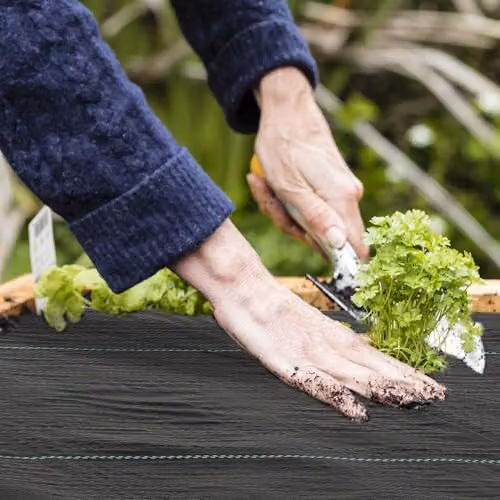 Outsunny Heavy Duty Weed Control Membrane Ground Cover, Black, W: 200 cm, L: 90 cm – 8