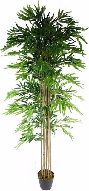 Artificial Bamboo Tree in Green and Black with Leaf Detail, Height: 70 cm